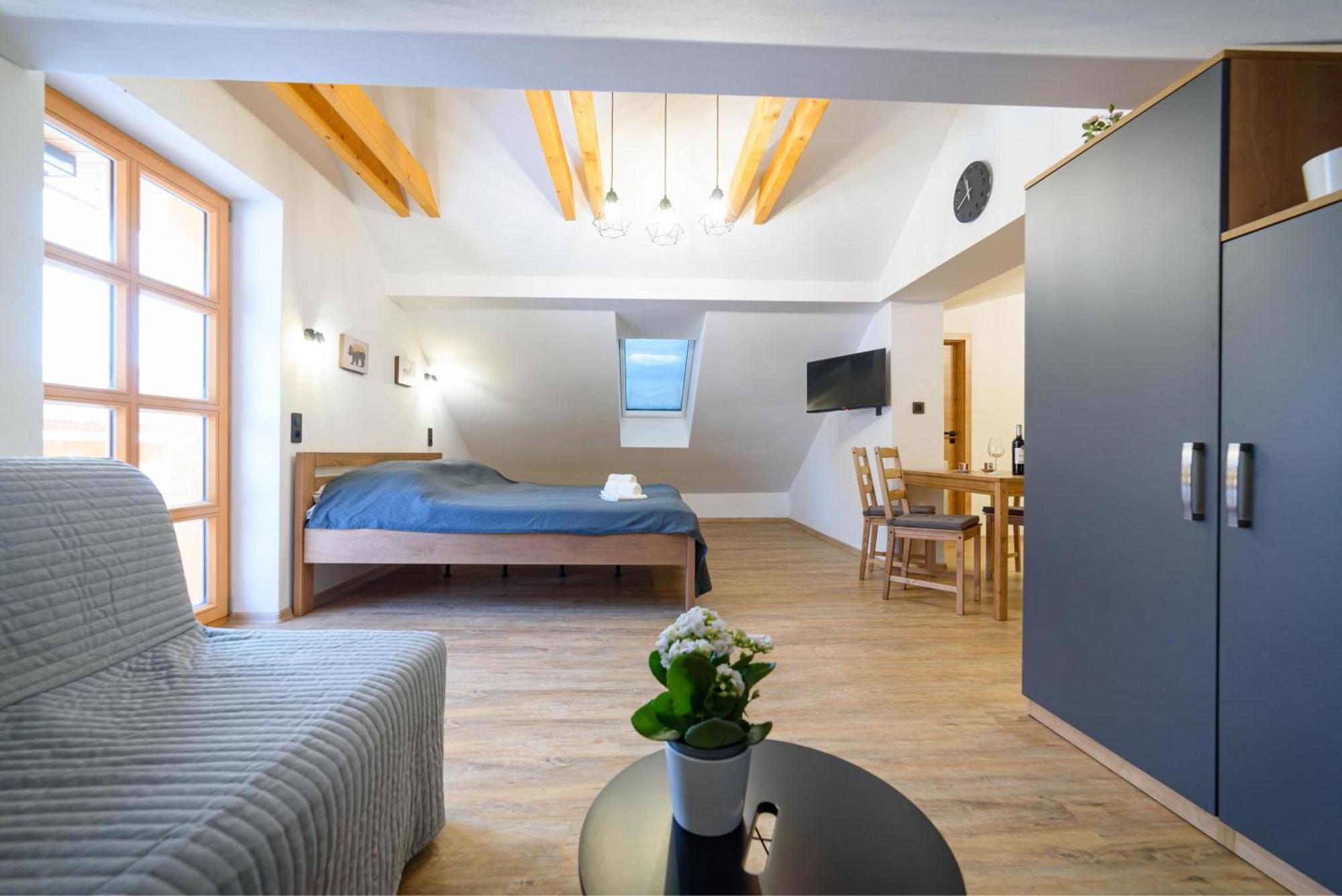 Apartman Na Hurce Horní Planá エクステリア 写真